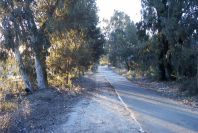 2005-02-15-007-Camino-Verde