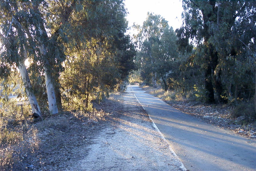 2005-02-15-007-Camino-Verde