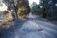 2005-02-15-008-Camino-Verde