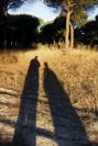 2005-02-15-009-Camino-Verde