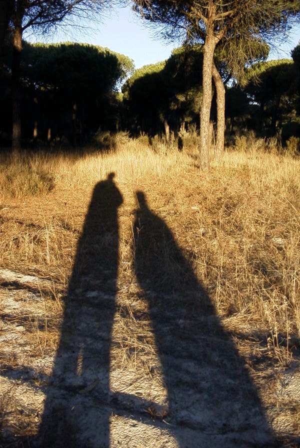 2005-02-15-009-Camino-Verde