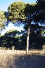 2005-02-15-010-Camino-Verde