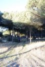 2005-02-15-011-Camino-Verde