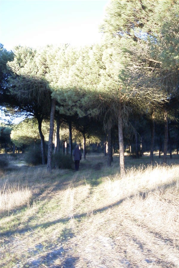 2005-02-15-011-Camino-Verde