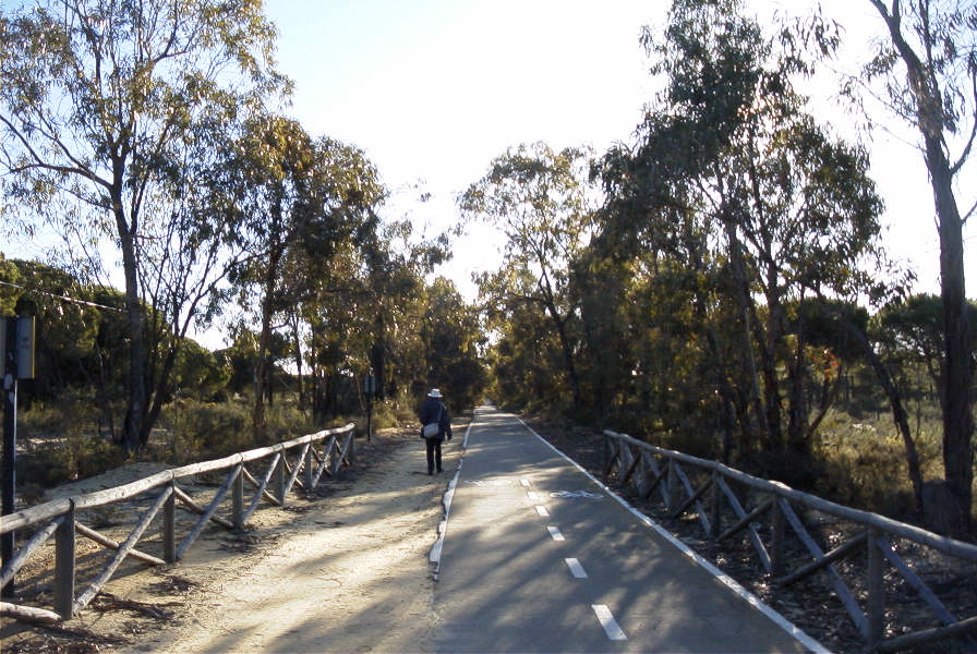 2005-02-15-014-Camino-Verde