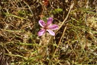 2005-02-15-023-Unknown