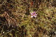 2005-02-15-025-Unknown