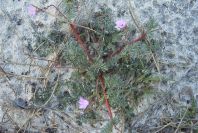 2005-02-15-026-Unknown