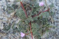 2005-02-15-027-Unknown