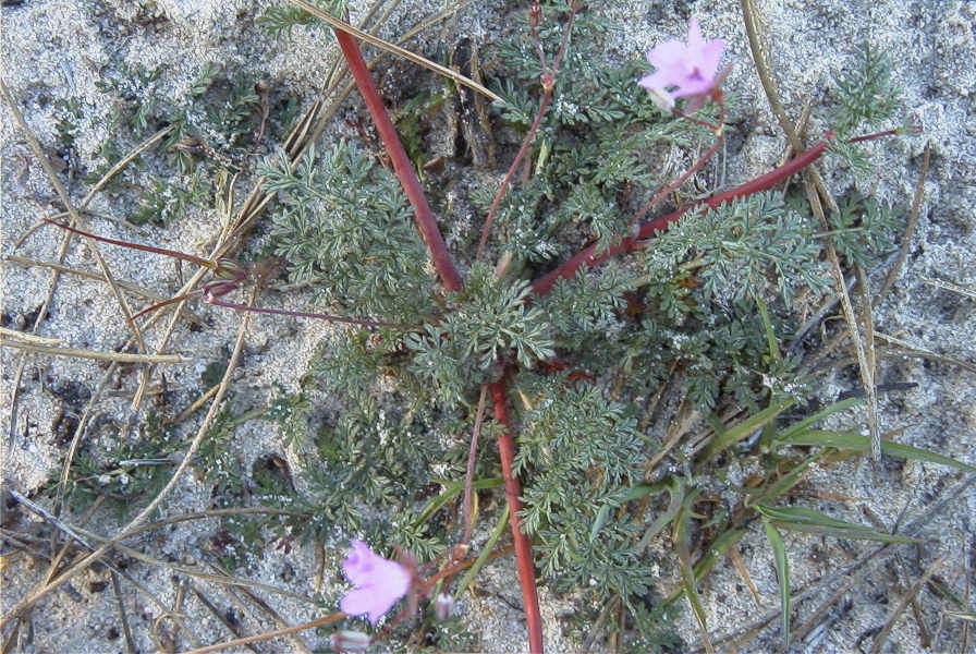 2005-02-15-027-Unknown