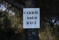 2005-02-15-028-Camino-Verde
