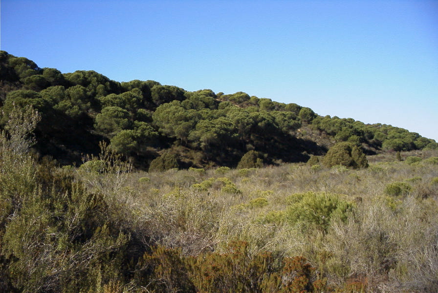 2005-02-15-032-Camino-Verde