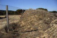 2005-02-15-034-Camino-Verde-Deer-Jump