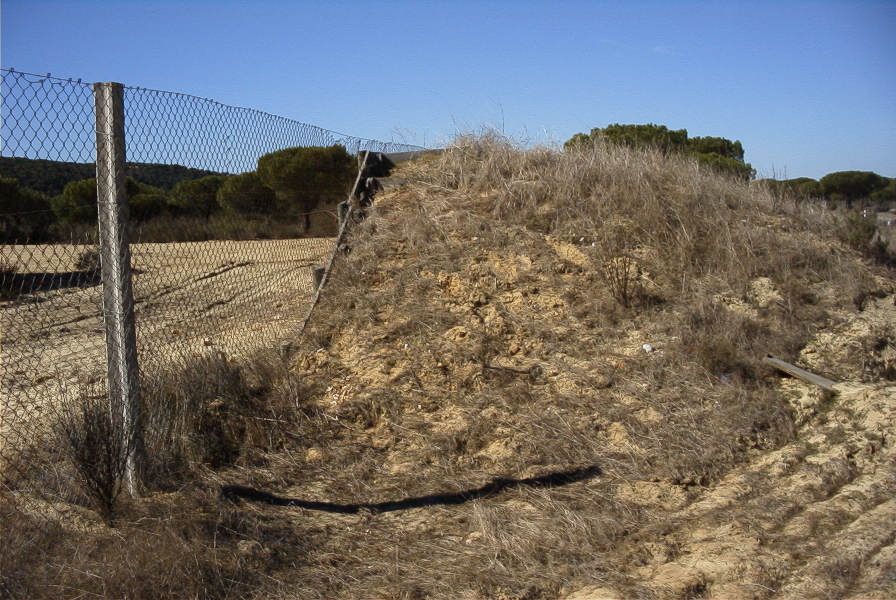 2005-02-15-034-Camino-Verde-Deer-Jump