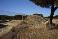 2005-02-15-035-Camino-Verde-Deer-Jump