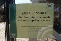2005-02-15-037-Camino-Verde