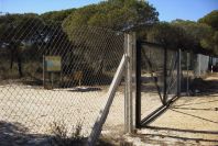 2005-02-15-038-Camino-Verde