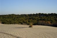 2005-02-17-003-Matalascanas-tour