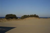 2005-02-17-004-Matalascanas-tour