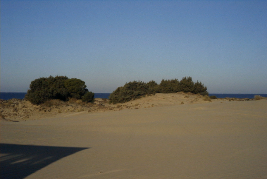 2005-02-17-004-Matalascanas-tour