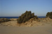 2005-02-17-005-Matalascanas-tour