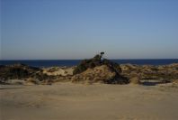 2005-02-17-006-Matalascanas-tour