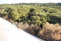 2005-02-17-008-Matalascanas-tour