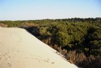 2005-02-17-009-Matalascanas-tour