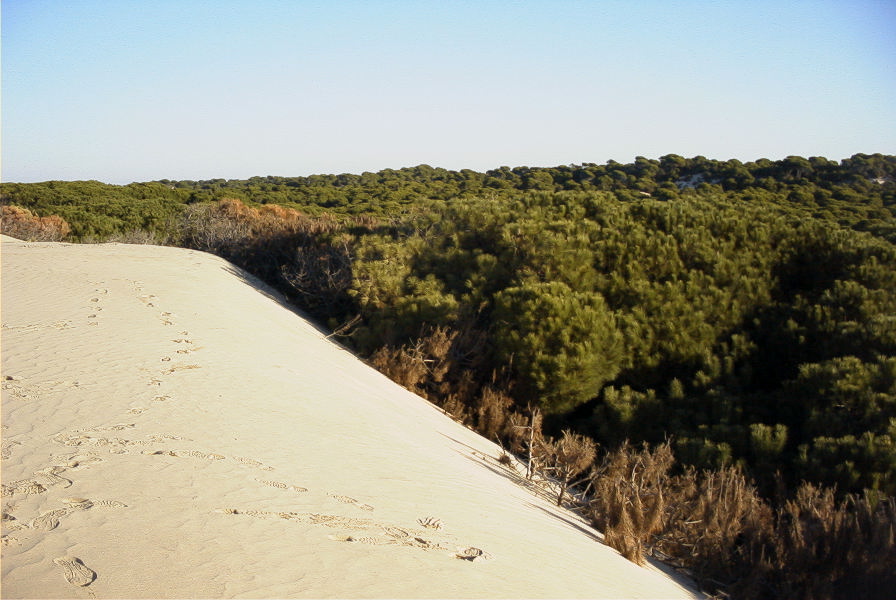 2005-02-17-009-Matalascanas-tour