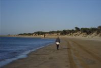 2005-02-17-012-Matalascanas-walk