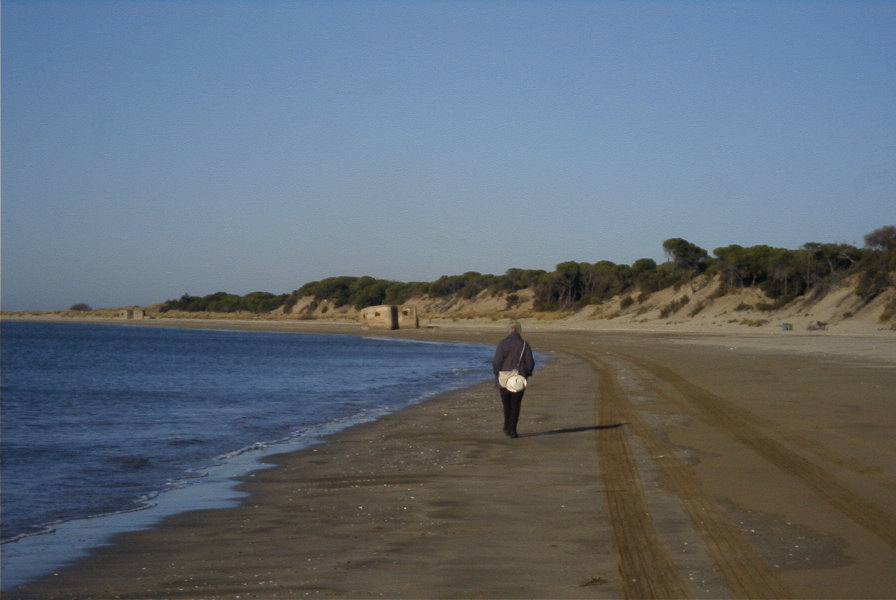 2005-02-17-012-Matalascanas-walk