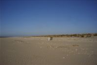 2005-02-17-015-Matalascanas-walk