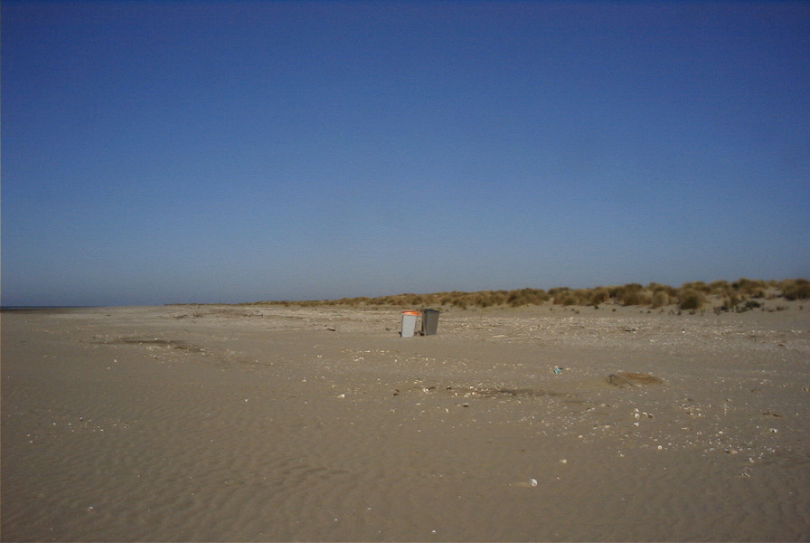 2005-02-17-015-Matalascanas-walk
