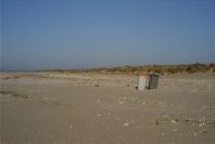2005-02-17-016-Matalascanas-walk