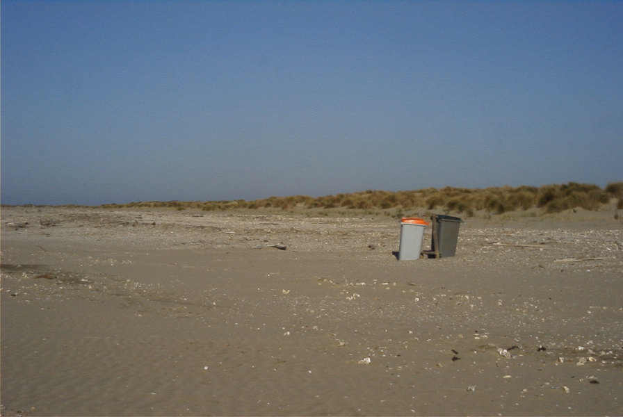 2005-02-17-016-Matalascanas-walk