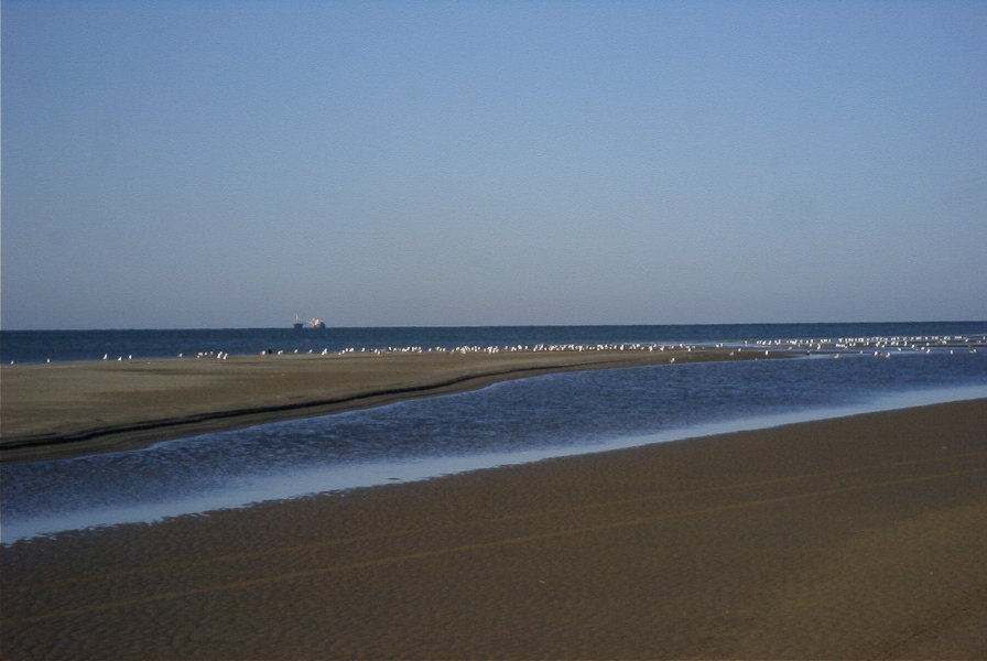 2005-02-17-019-Matalascanas-walk