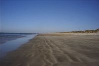 2005-02-17-020-Matalascanas-walk