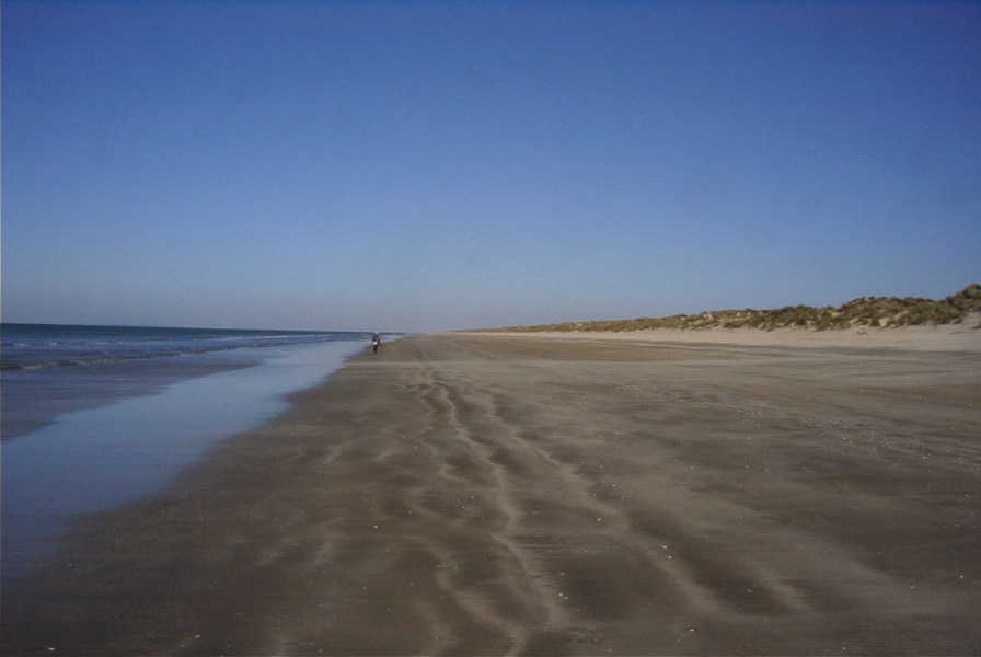 2005-02-17-020-Matalascanas-walk