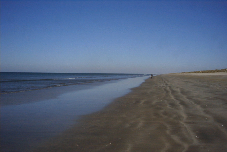 2005-02-17-021-Matalascanas-walk
