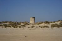 2005-02-17-023-Matalascanas-walk-Torre