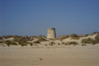 2005-02-17-024-Matalascanas-walk-Torre