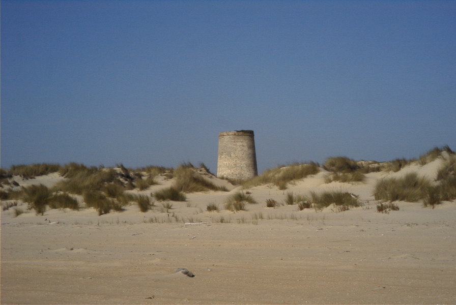 2005-02-17-024-Matalascanas-walk-Torre
