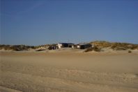 2005-02-17-027-Matalascanas-walk