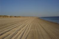 2005-02-17-028-Matalascanas-walk