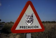 2005-02-18-003-Lynx-Warning-Sign
