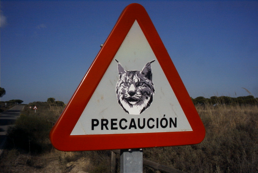 2005-02-18-003-Lynx-Warning-Sign