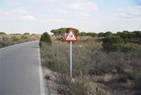 2005-02-18-052-Access-road