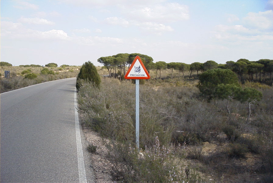 2005-02-18-052-Access-road