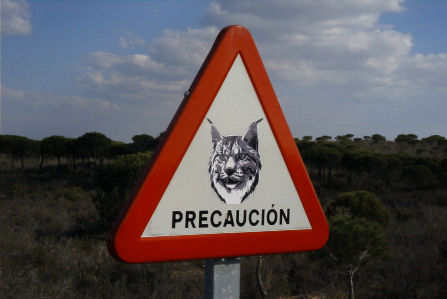 2005-02-18-053-Lynx-warning