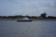 2005-03-27-014-Donana-National-Park